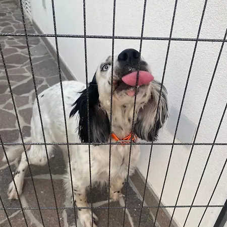 Popilia Sea & Business Red Appartement *