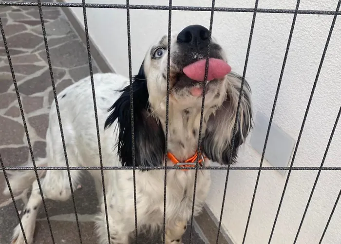 Popilia Sea & Business Red דירה *